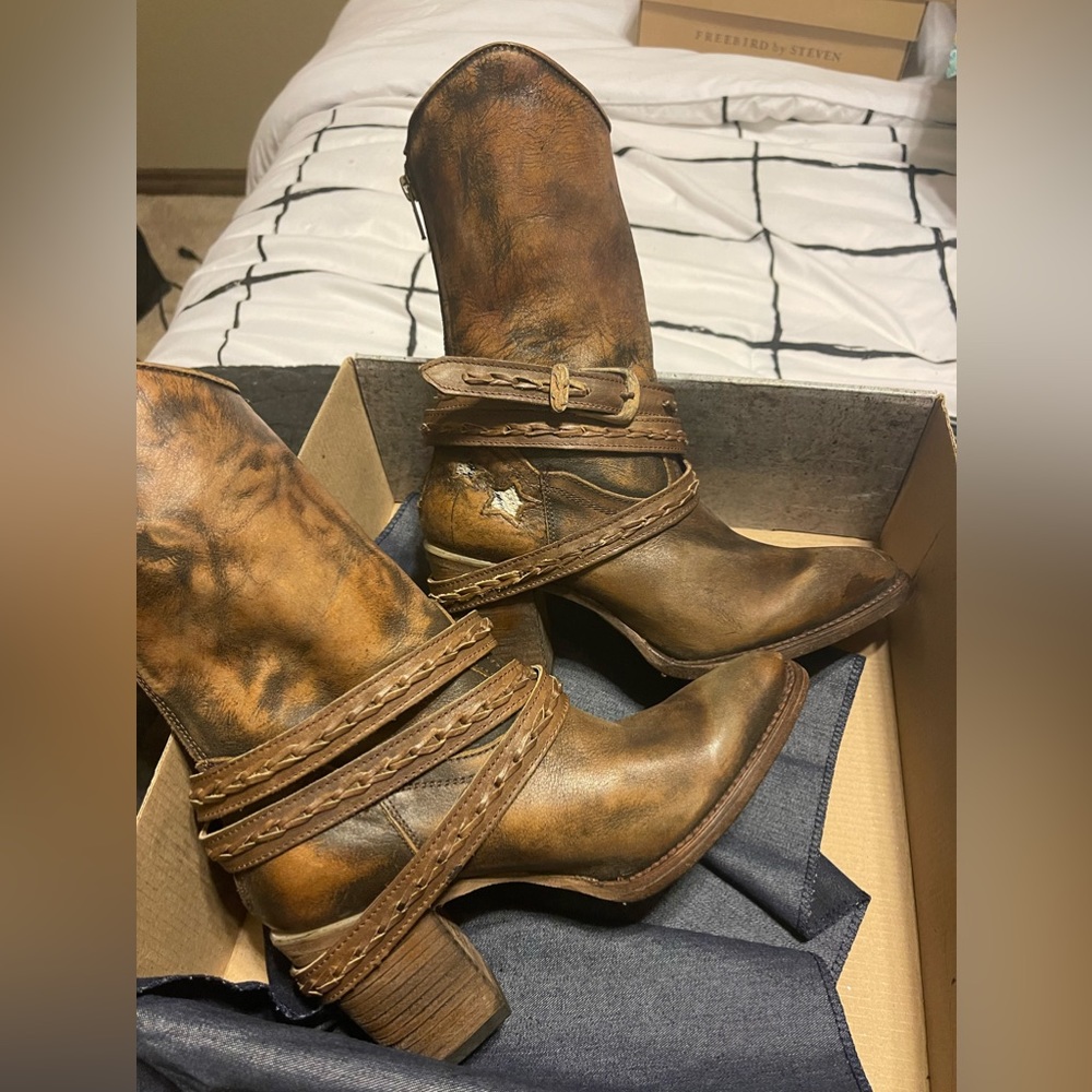 Freebird by Steven Cadence